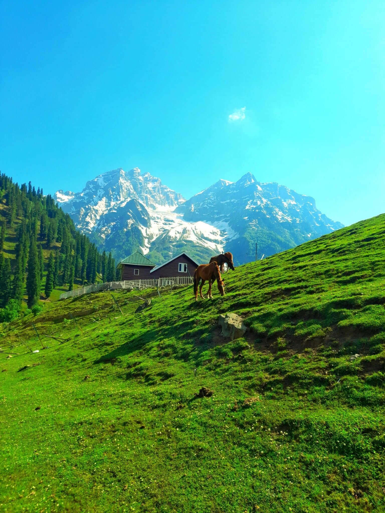 Zanskar Valley Explorer Ladakh tour