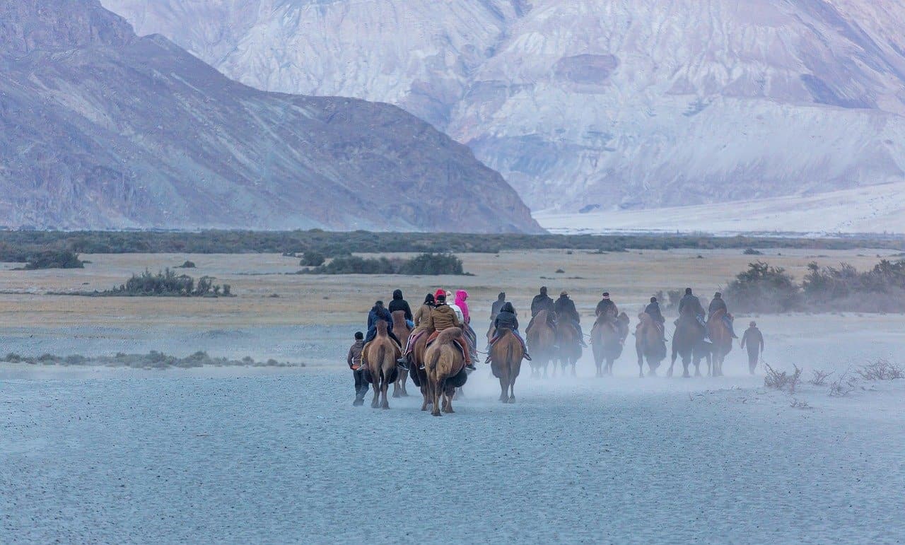 Leh, Nubra & Pangong Ladakh tour