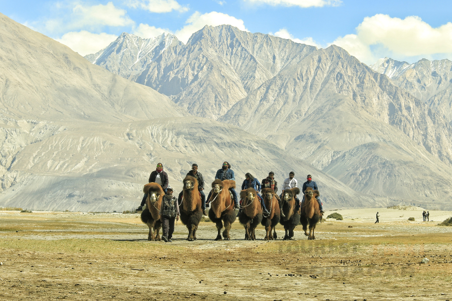 Nubra Valley